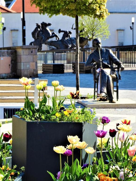 Fortuna Apartmanok Eger Buitenkant foto